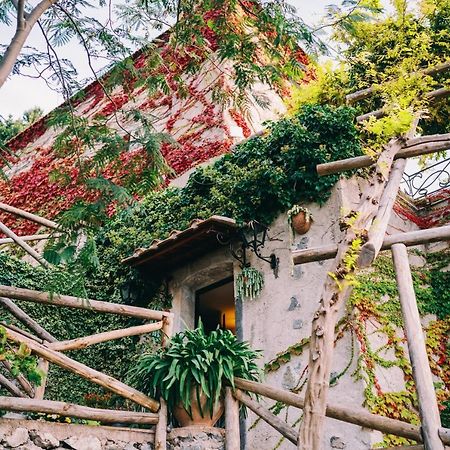 L'Olearia Luxury Country Villa In Amalfi Coast Maiori Bagian luar foto