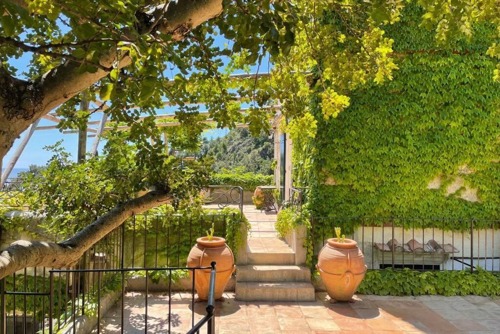 L'Olearia Luxury Country Villa In Amalfi Coast Maiori Bagian luar foto