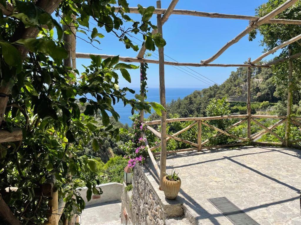 L'Olearia Luxury Country Villa In Amalfi Coast Maiori Bagian luar foto