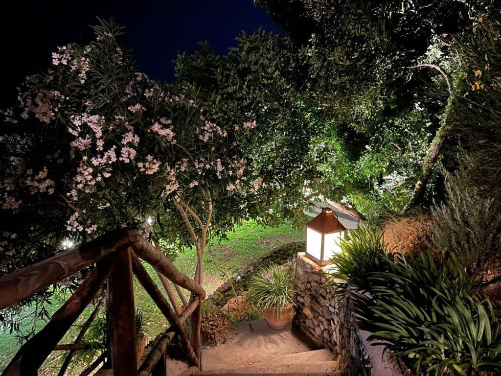 L'Olearia Luxury Country Villa In Amalfi Coast Maiori Bagian luar foto